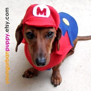 Illustration for article titled The Wonderful World Of Dog Cosplay